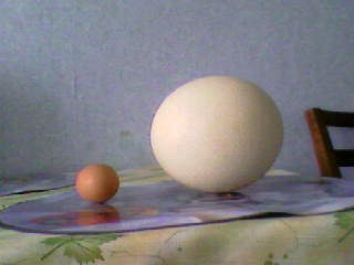 Татьяна Чёрная LediBlac | Днепр (Днепропетровск)