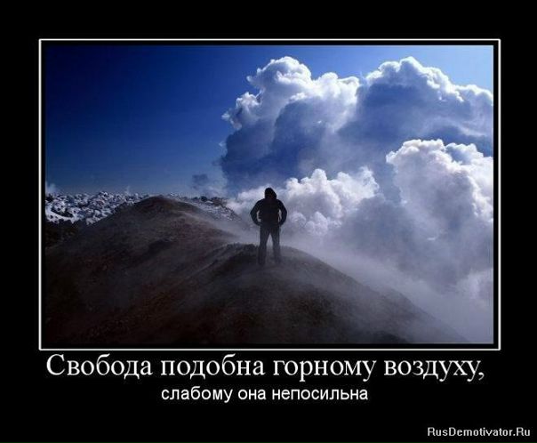 №8, Олег Лапчак, Кременец №8, Олег Лапчак, Кременец