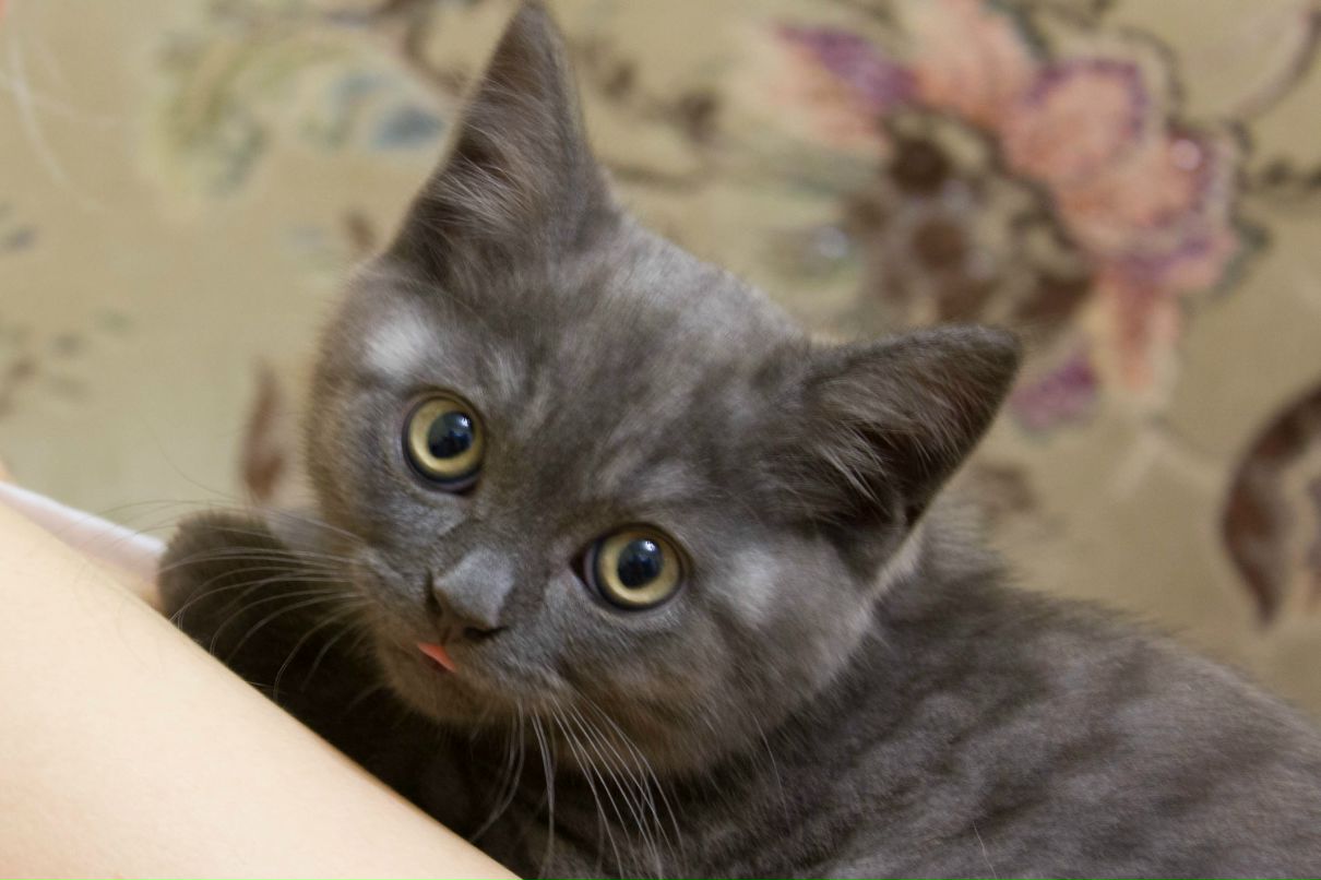 Екатерина Саляева | Сургут (поселок)