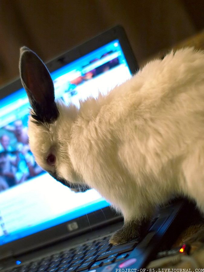 Александр Стародубцев | Москва