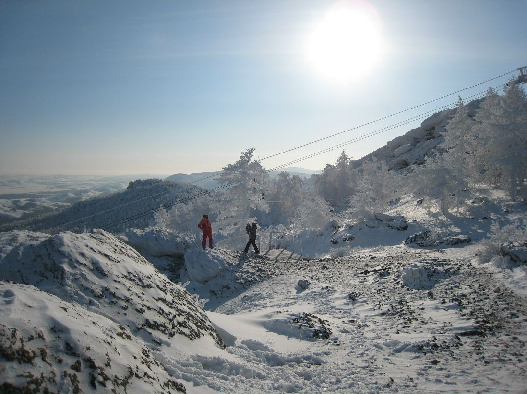 Ольга Деменева ♫ kamille | Челябинск