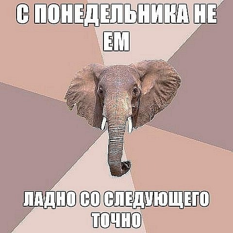 №105, Даша Пинк, Киев №105, Даша Пинк, Киев