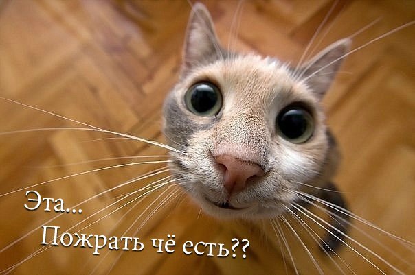 Андрей Боголюбов | Подольск