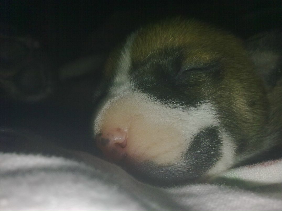 Валюха Осипчук | Киев