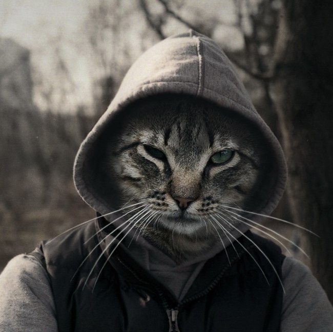 Dimas Dacatdimas | Макеевка