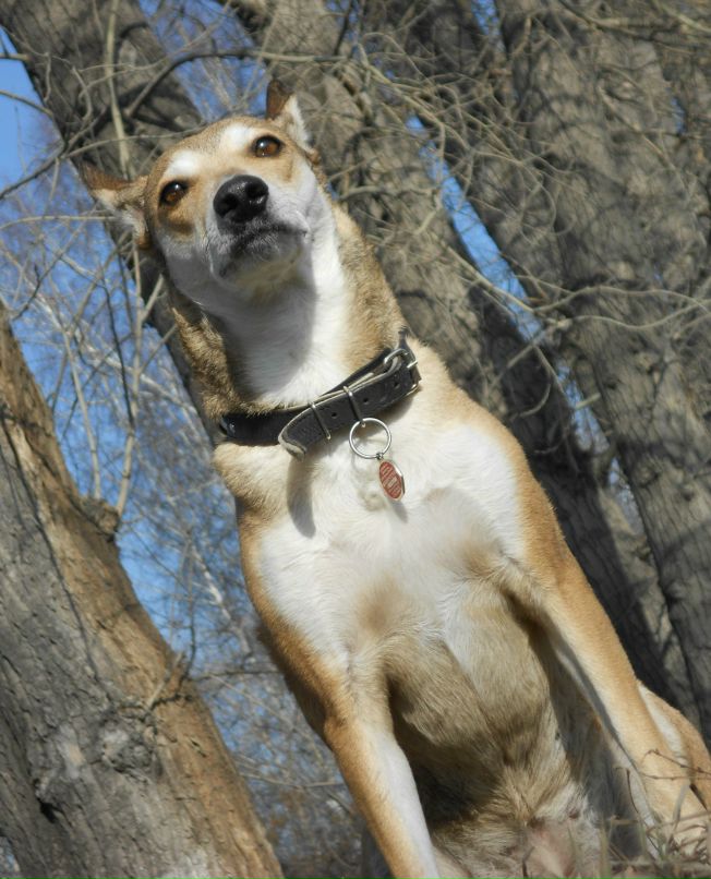 Алёна Торбина | Новосибирск