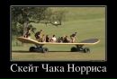 Фотография Роман Кабанов