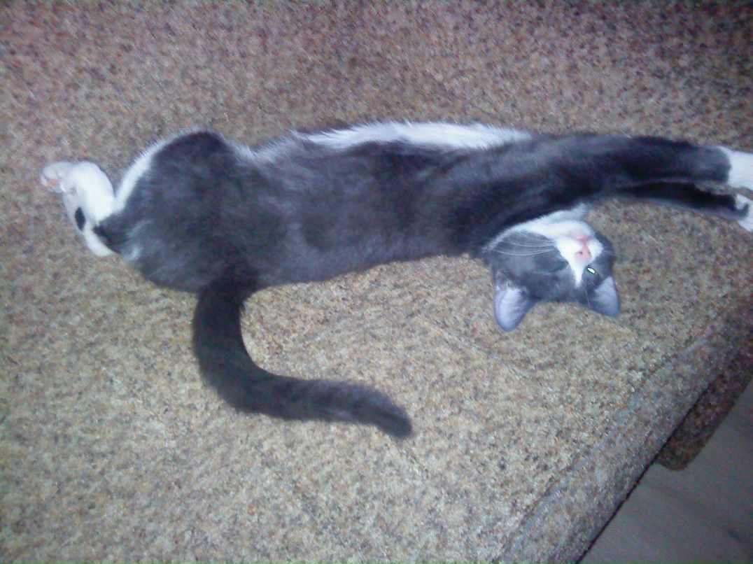 Лариса Ханова | Санкт-Петербург