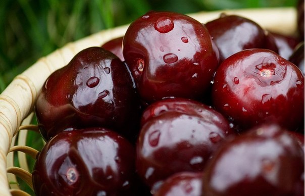 Наташа Ковальчук | Киев