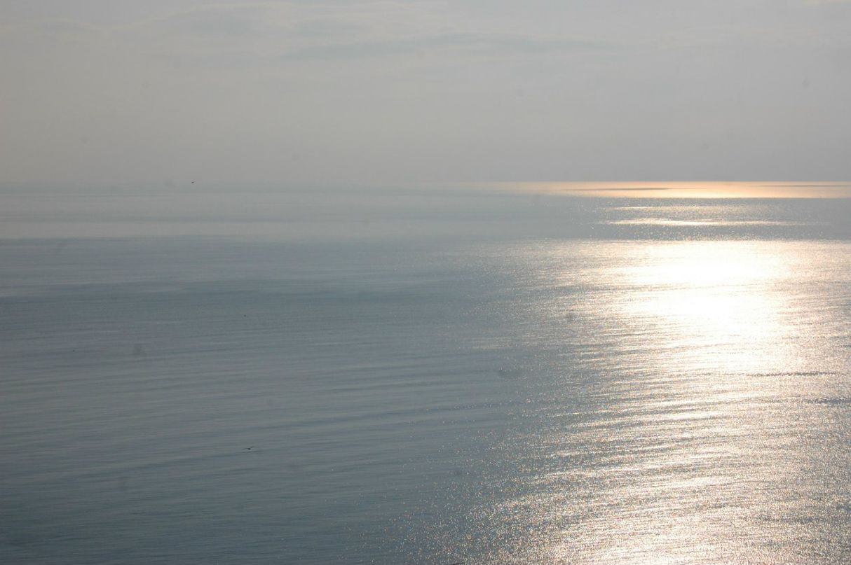 Роман Солнцев | 