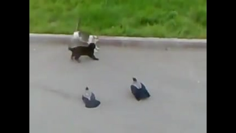 Трое на