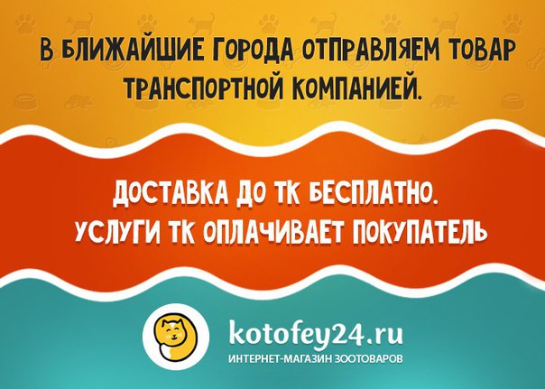 Котофей 24 Интернет Магазин Зоотоваров Красноярск