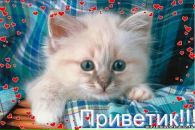 Фотография Екатерина Александровна