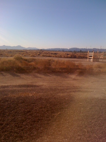 №5, Илья Альбрехт, 9.8.1981, Phoenix №5, Илья Альбрехт, 9.8.1981, Phoenix