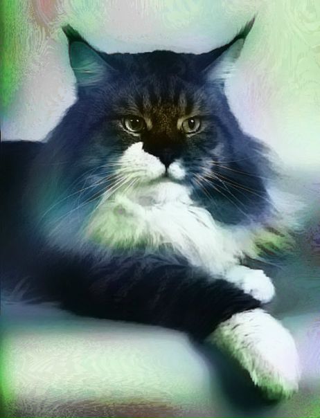 №9, Алексей Ревенко, 38 лет, Санкт-Петербург №9, Алексей Ревенко, 38 лет, Санкт-Петербург