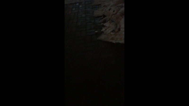 Роман Скик