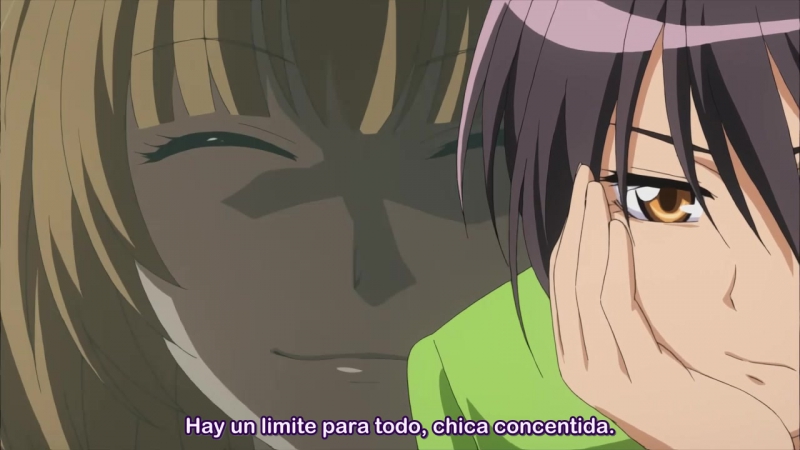 Kaichou Wa Maid Sama