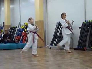 Аттестация на красный пояс,