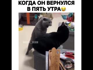 Joy Subscribe Milky Check Mark Mimimi Gram Liked The Video Put Hearts ️ Share With Friends Squirts In Silhouette ( 