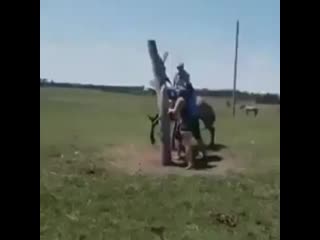 madiyar_serikbayev_20200209_184417_0.mp4
