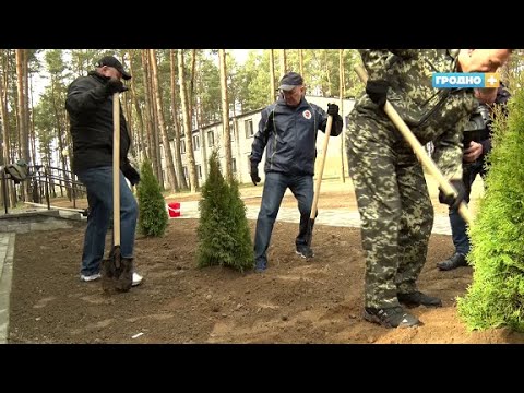Подготовка детского лагеря и сакура под окнами как прошёл