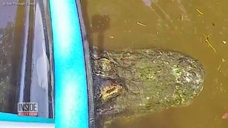 Florida Canoe Gets Stuck on Rock, Which Turns Out to Be Huge Alligator