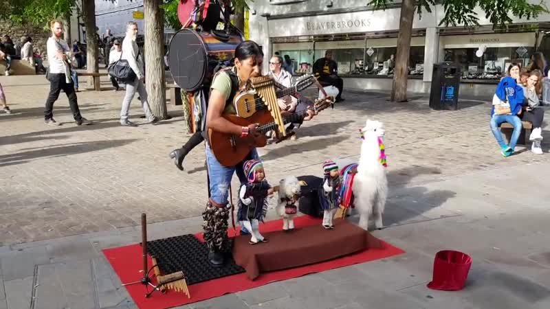 Peruvian One Man Band Busker Puppet, pan flute music, real talent addictive