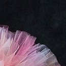 №80, Светлана Маслова, Николаев №80, Светлана Маслова, Николаев