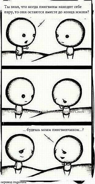 №3, Ден Карпов, Саратов №3, Ден Карпов, Саратов