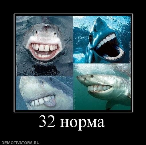 №8, Элеонора Быстрицкая, 5.6.1998 №8, Элеонора Быстрицкая, 5.6.1998