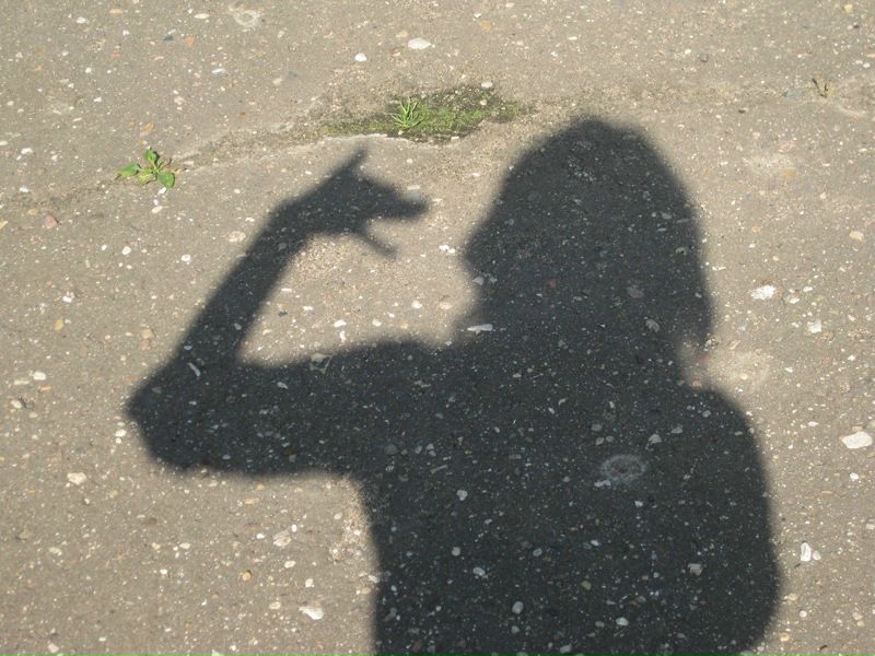 №56, Евгения Вавилова, Химки №56, Евгения Вавилова, Химки