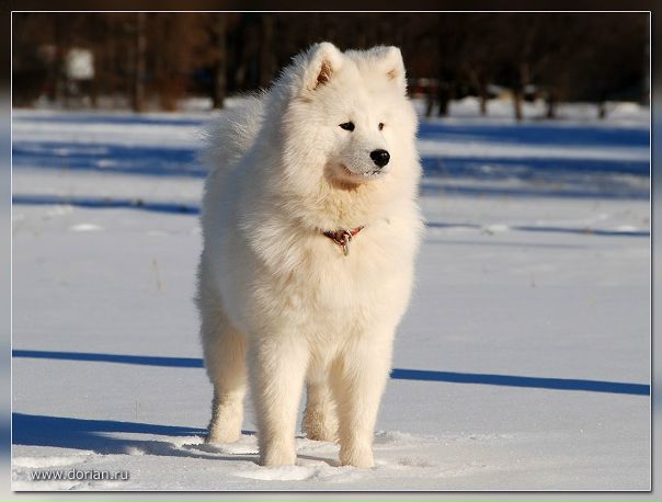 №109, Катя Пилипенко, Омск №109, Катя Пилипенко, Омск