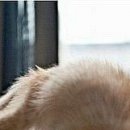 №31, Ира Драган, Одесса №31, Ира Драган, Одесса