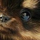 №154, Михаил Войтик, 28 лет, Минск №154, Михаил Войтик, 28 лет, Минск