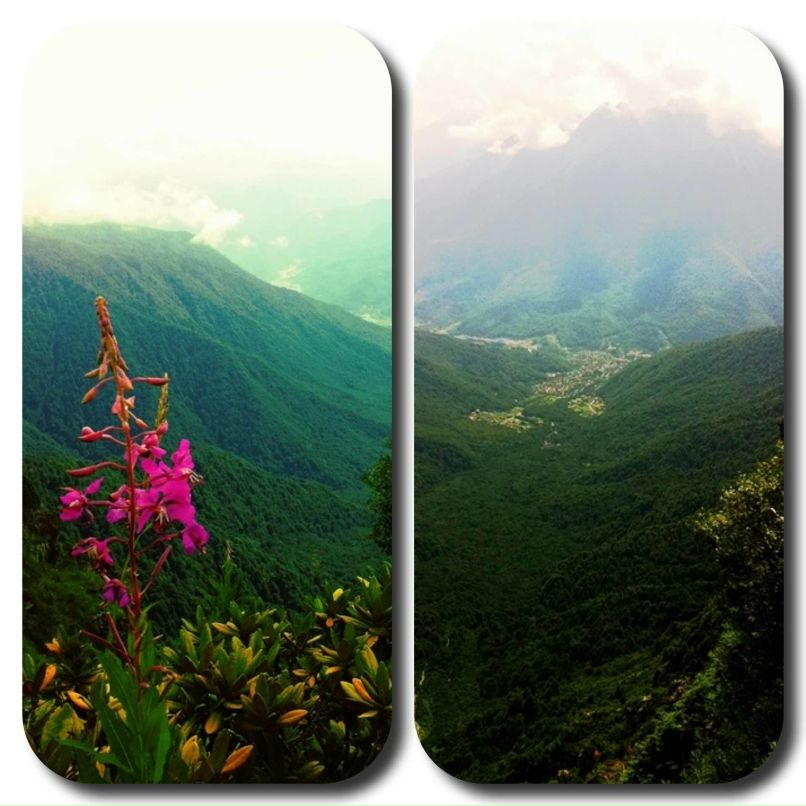 Rost First | Москва