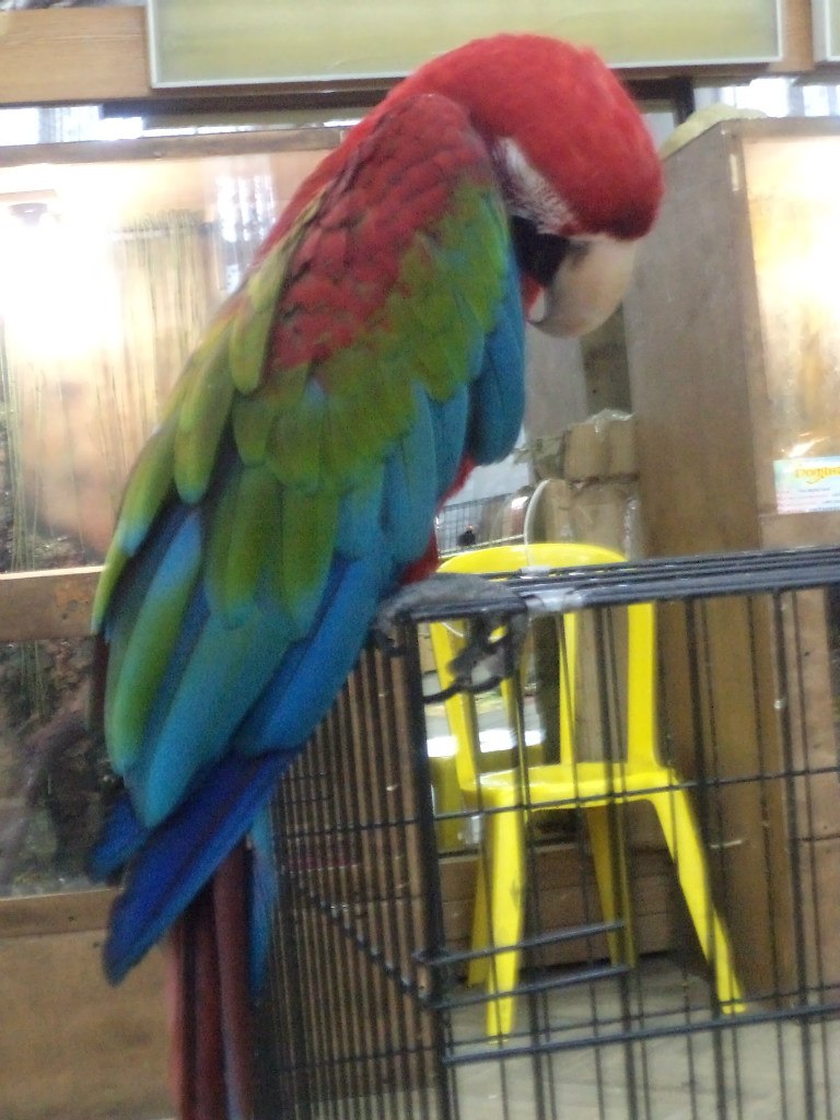 Ирина Соболева Алексеевна | Хабаровск