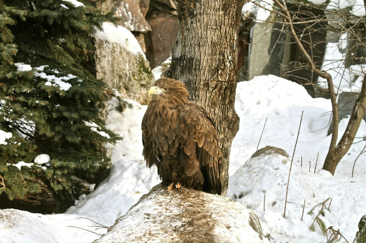 Владимир Костромин | Москва