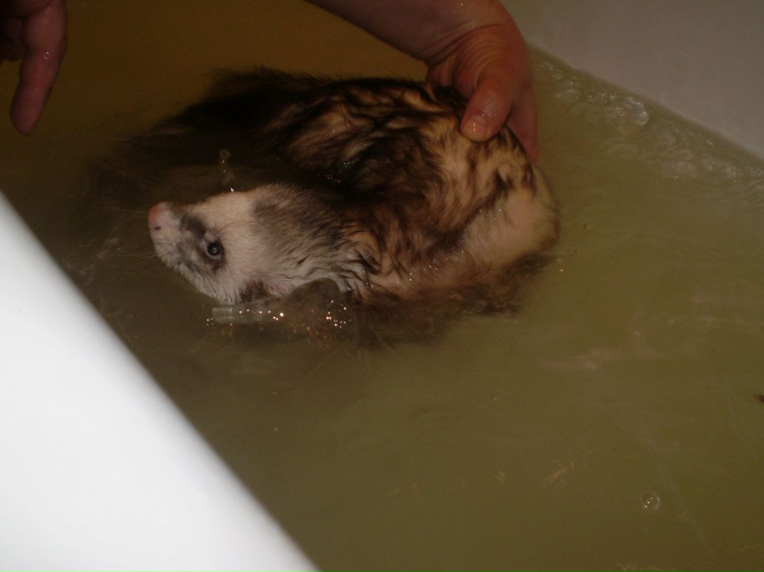 Сергей Лобаков | Москва