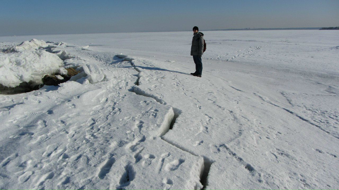 Любовь Алексеева Борисовна | Санкт-Петербург