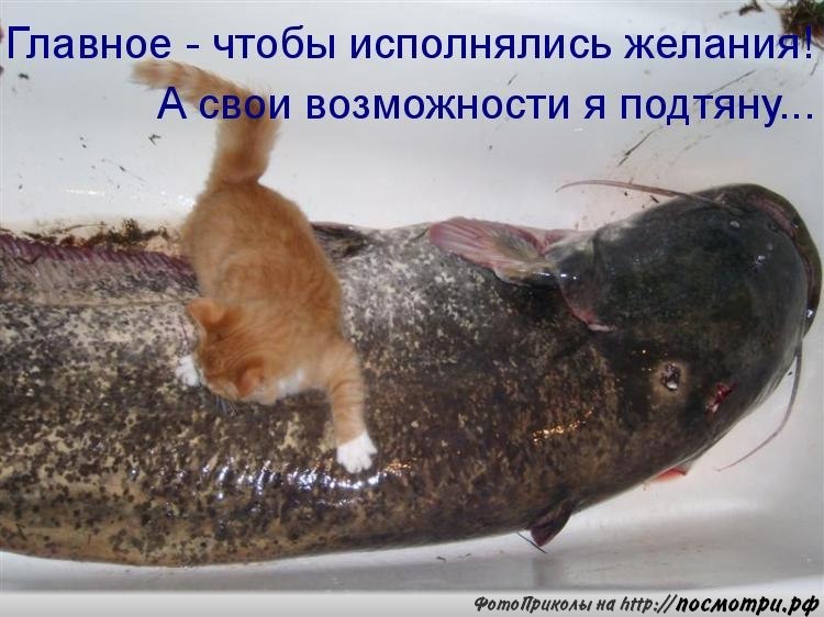 Маргарита Дурнева | Новосибирск