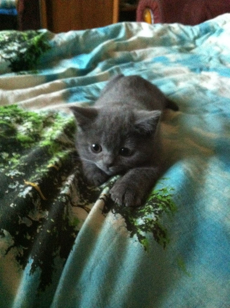 Мария Никитина | Москва