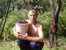 Фотография Андрей Борзыкин