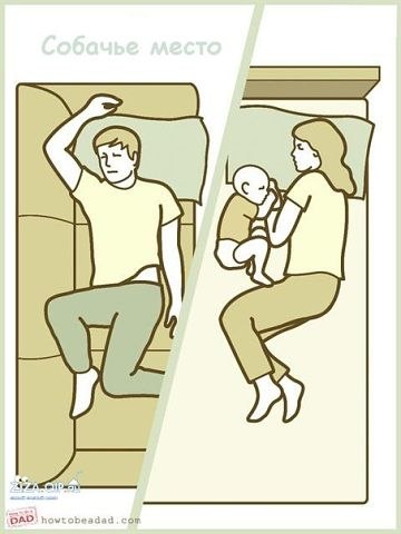 Дмитрий Новиков | 