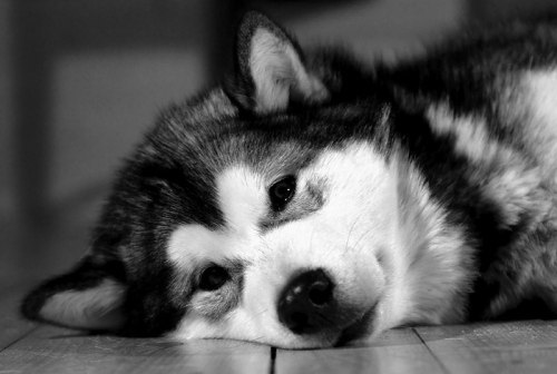 Kairat Abishev | Астана / Нур-Султан