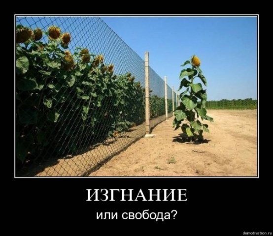 №3, Алик Лобанов, 35 лет, Харьков №3, Алик Лобанов, 35 лет, Харьков