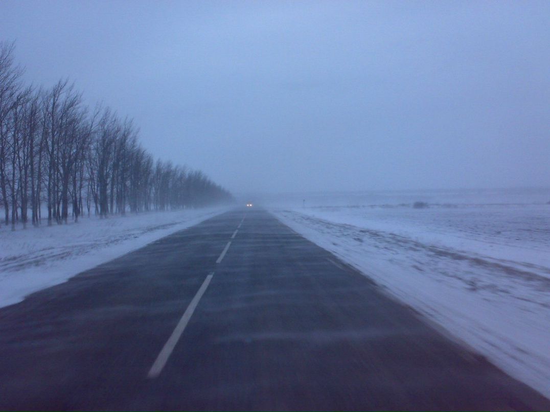 Дарья Шарун | 