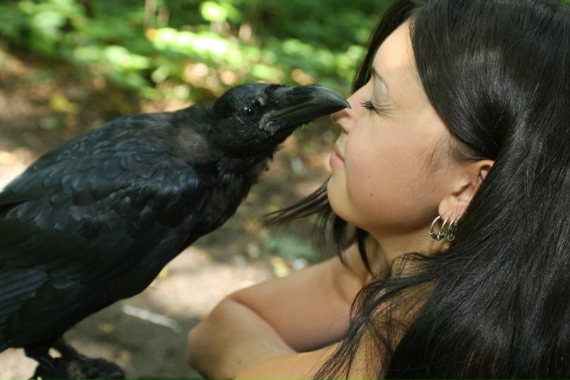 Гуля Ворона | Москва