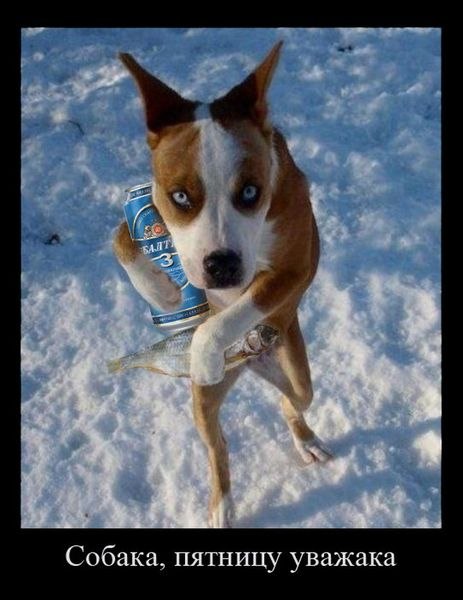 Андрей Лефутуренко | Киев