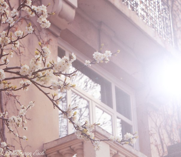 Катерина Шапиро | Москва