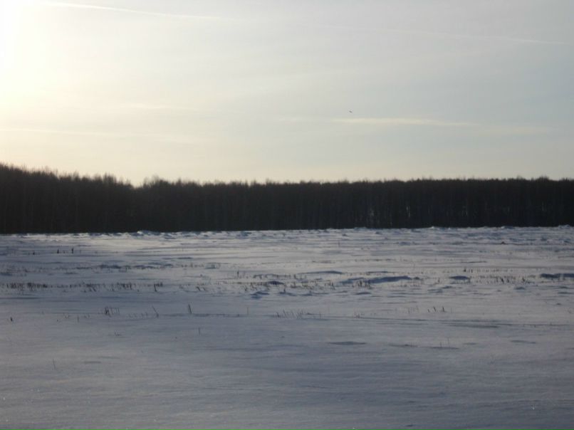 Сергей Безденежных | Ключи